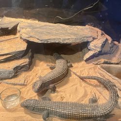 -Zoolung Zoolung动物主题公园(海信广场店)