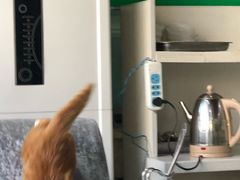 -清真·伊清阁餐厅