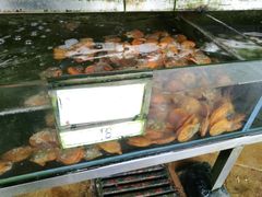 扇贝-钱大妈海鲜饭店(保利林语店)