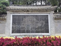 -花洲书院