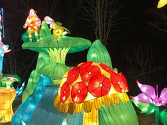 -武汉园博园(武汉自然博物馆)