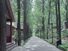 -林栖谷森林康养度假区