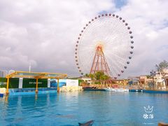 -三亚海昌梦幻海洋不夜城