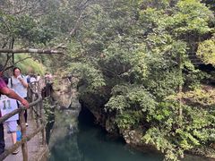 -石台牯牛降景区