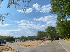 -大兴滨河森林公园