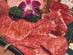 -俺的焼肉(銀座9丁目店)