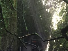 -梦幻奥陶纪景区