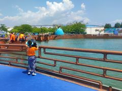 -秦皇岛乐岛海洋王国