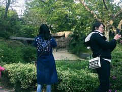 -听松楼·花园酒店·自助餐厅(红梅公园店)