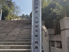 -铁山坪森林公园