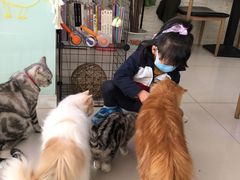-平行世界·猫咖(首经贸店)
