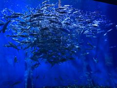 -成都浩海立方海洋公园