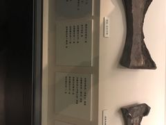 -中国国家博物馆-地上停车场