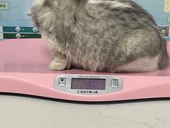 -贝康宠物医院·犬猫全科·小动物特色诊疗中心(东环路店)