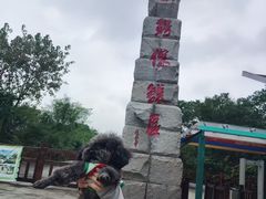 -中国扬子鳄村