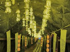 -秦岭天竺山生态文化旅游景区