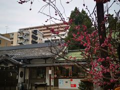 -难波八坂神社