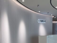 -雅马哈乐器专卖店(广州旗舰店)
