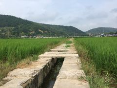 -南泥湾风景区