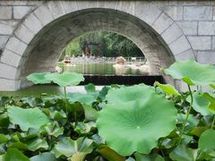 -莲湖公园