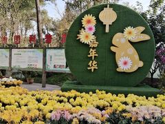 -南山植物园