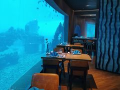 -海棠湾洲际-涛·海底餐厅·美人鱼·自助餐·海底隧道
