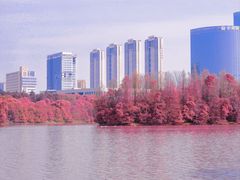 -艾溪湖湿地公园