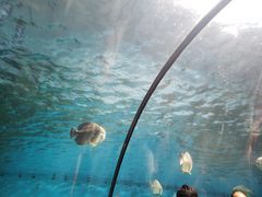 -泉城欧乐堡海洋极地世界
