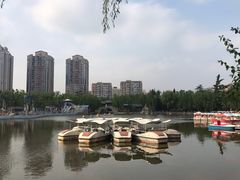 -团结湖公园