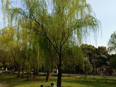 -蜀冈西峰生态公园