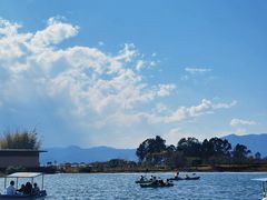 -月亮湾湿地公园