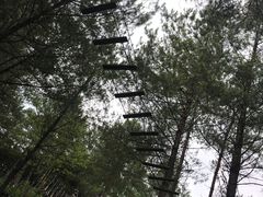 -梦幻奥陶纪景区