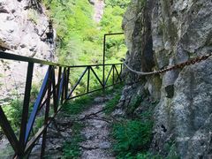 -青峰峡国家森林公园