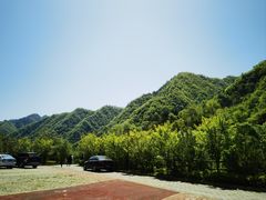 -黑河国家森林公园