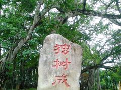 -瑞丽独树成林风景区