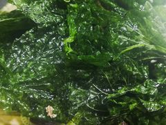 -古真记钵钵鸡(总店)