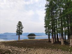 -四明湖