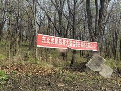 -珍宝岛