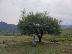 -石棉县孟获城