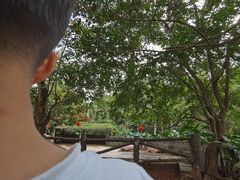 -海南热带野生动植物园