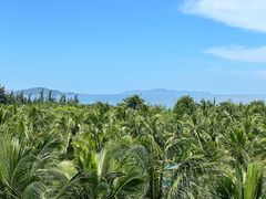 -三亚蜈支洲岛旅游区