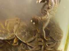 -金滏山烤肉·海鲜·火锅自助餐厅(襄阳万达店)