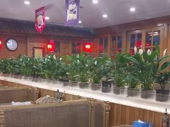 -大清花饺子(山庄店)