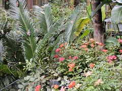 -大妙火锅·非物质文化遗产(东湖公园店)