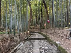 -杭州黄龙洞