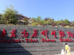 -青藏高原野生动物园