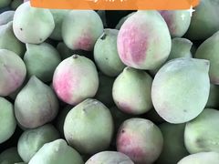 -五里多农博广场