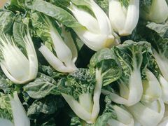 -77号渔船·蒸海鲜青岛菜(积米崖店)