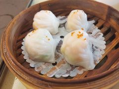 水饺-满福隆酒楼(万绿园店)