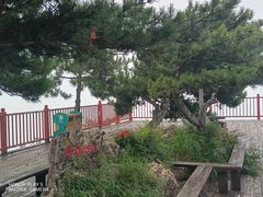 -轿顶山景区